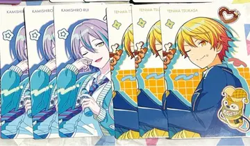 에피카 프로세카 벌스데이