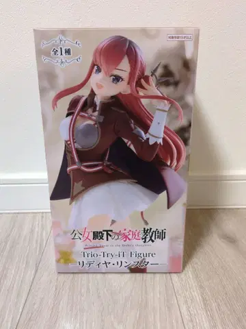 공녀 전하의 가정교사 리디야 린스타