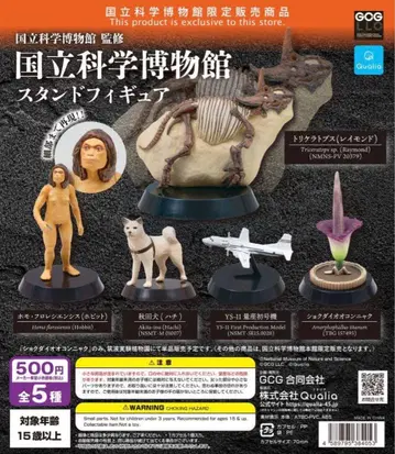 국립과학박물관 한정판 스탠드 피규어 아키타견(하치)