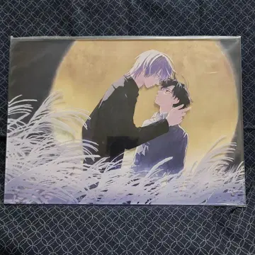 피그 아크릴 아트 [ 하레와 모노노케 ] 야쿠