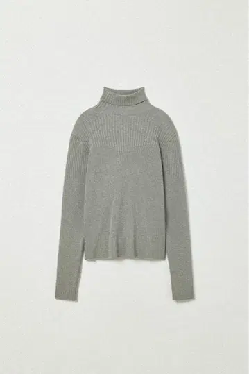 EAPHI RANDOM RIB TURTLENECK KNIT