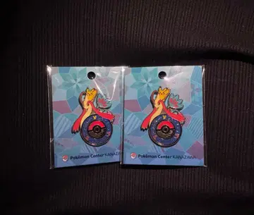 포켓몬 센터 카나자와 로고핀즈 미로카로스 피카츄