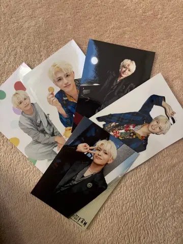 시노즈카 다이키 공식 사진 세트