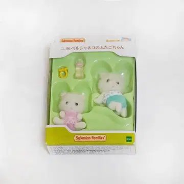 페르시안 아기 고양이