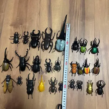 장수풍뎅이, 헤라클레스, 사슴벌레, 피규어