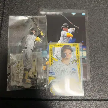 [ 한신 타이거즈 ] 사토 테루아키