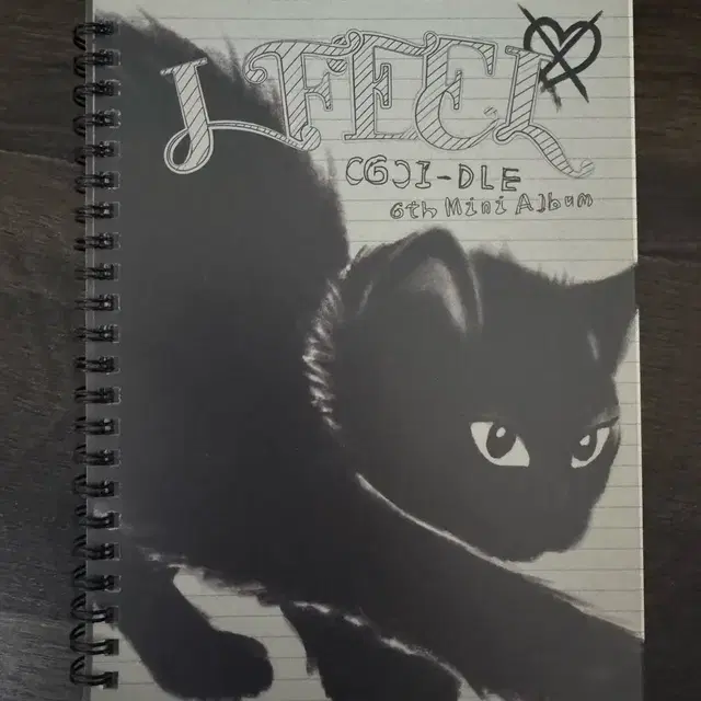 i-dle 미니앨범 6집(I feel) Cat ver.