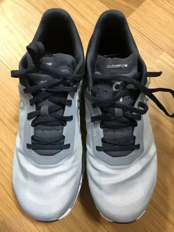 온 On Cloudflow 4 28cm 남성용