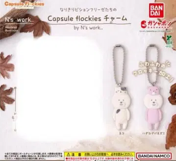 흉내내는 비숑 프리제들의 capsule flockies 참