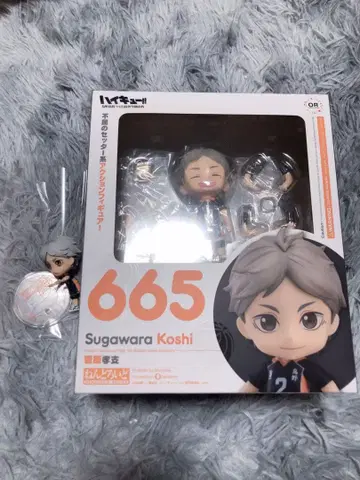 하이큐 넨도로이드 피규어 스가와라