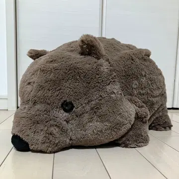 통통이 워니 울트라 BIG 봉제 인형 마에바짱