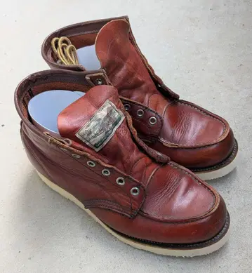 RED WING 8875 아이리쉬 세터 7 1/2