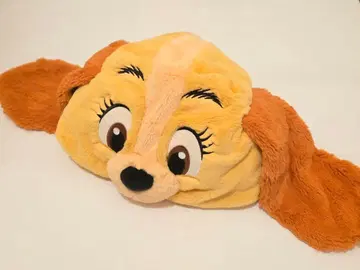 팬캡 레이디 디즈니 리조트