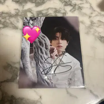 Enhypen 개별 사인  제이크 친필