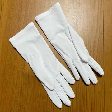 흰 장갑 버스 가이드 승무용