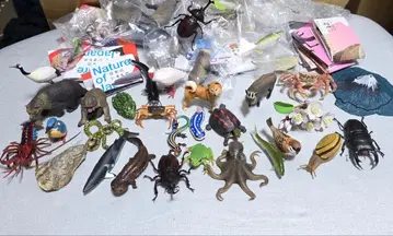 [ 풀 컴프 ] 네이처 테크니컬러 일본의 생물 01 02 03