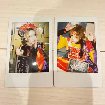 Babykingdom 토라마루 씨, 사쿠고 씨 폴라로이드