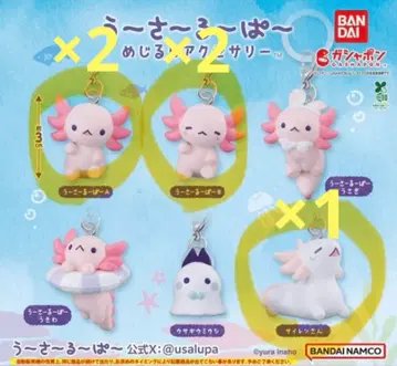 우사루파 메지루시 액세서리 5점 세트