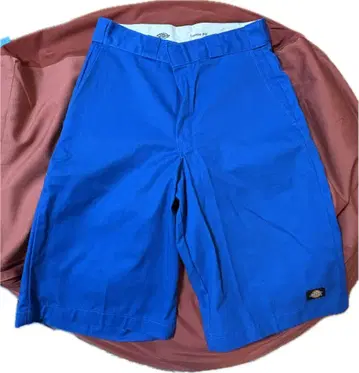 Dickies 파랑 루즈핏