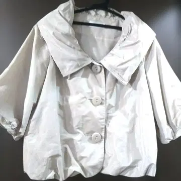 베이지 빅 카라 테일러드 숏 기장 자켓