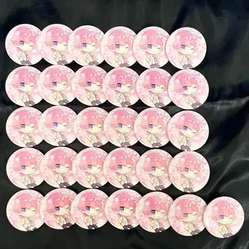 사토미 군 캔뱃지 기본