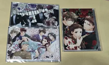 나비의 독, 꽃의 체인 포켓 캔버스 세트