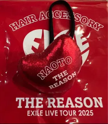 EXILE NAOTO 머리끈 THE REASON