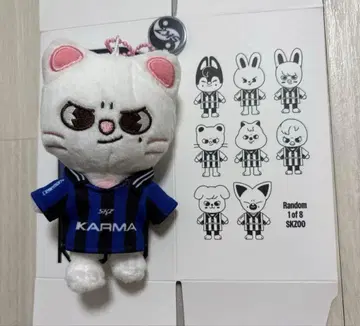 Stray kids KARMA 지니레트