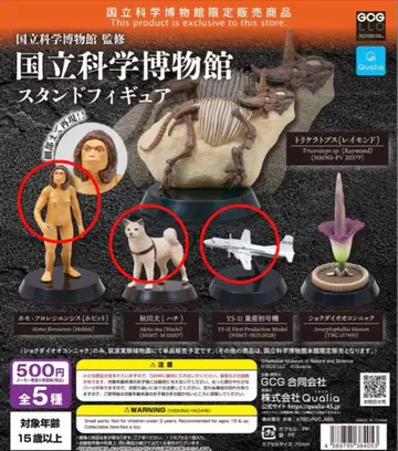 국립과학박물관 스탠드 피규어 한정 3종 세트