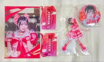 iLiFE! 무도관 가라폰 코코로하나 리리 세트