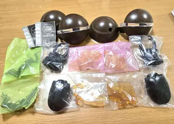 생물대도감 사슴벌레 03 오오쿠와가타 2개 세트