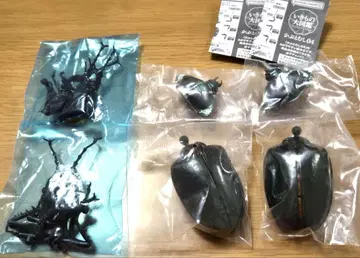 생물대도감 얀손테나가코가네 2세트