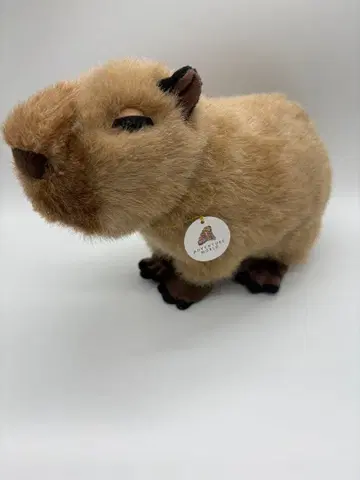 [ 택 포함 ] 어드벤처 월드 카피바라 봉제 인형