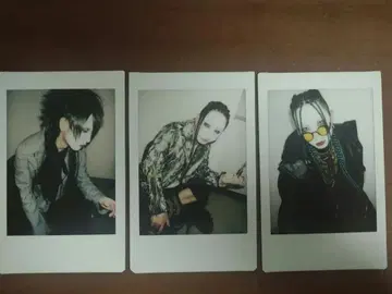 흠집 라이무 폴라로이드