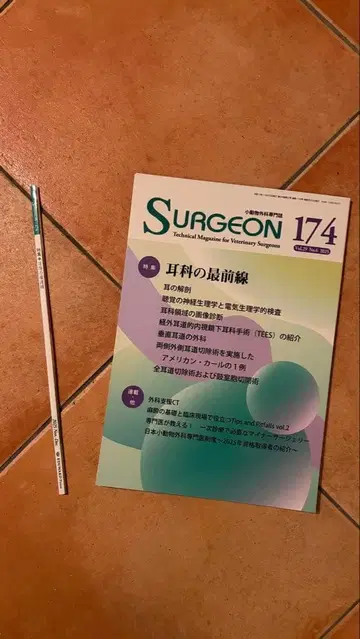 SURGEON 174 이비인후과의 최전선 이비인후과 영역의 이미지 진단