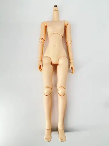 오비츠 바디 48cm 화이티 새상품급