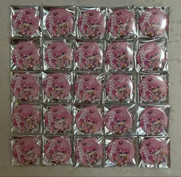 스토푸리 사토미군 캔뱃지