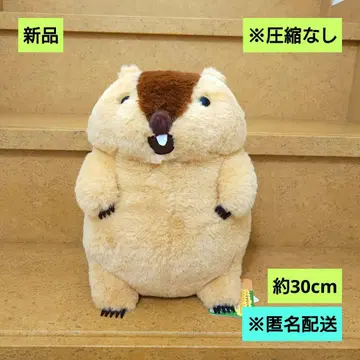 새상품 마모트의 모토토 JB 아타로