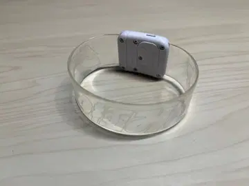 게스의 극치 소녀 마그넷 라이트