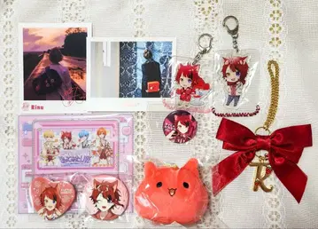 리이누 군 굿즈 묶음 판매 스토푸리 리누운 마스코트 캔뱃지 아크링 키링