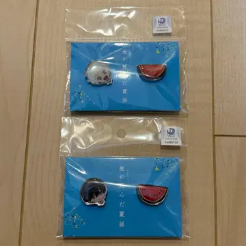 빛이 죽은 여름 전시회 핀즈 2개 세트 핀 배지 수박