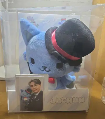 지오참 레인 봉제 인형 트레이딩 카드 포함