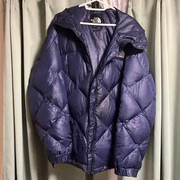 THE NORTH FACE 네이비 다운 자켓