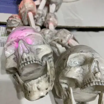 usj 에지키 2세트