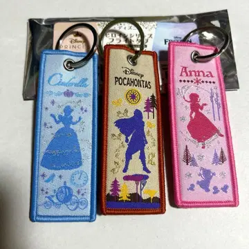 디즈니 프린세스 히로인 시리즈 플라이트 택 3개 새상품