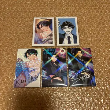 파라라이 VISTY 야마토 쇼고