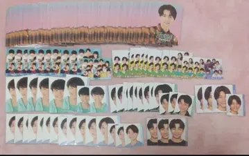 하무라 진세이 프로필 카드 데타카