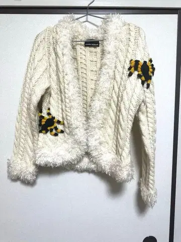 Hysteric glamour 가디건 거미 레어