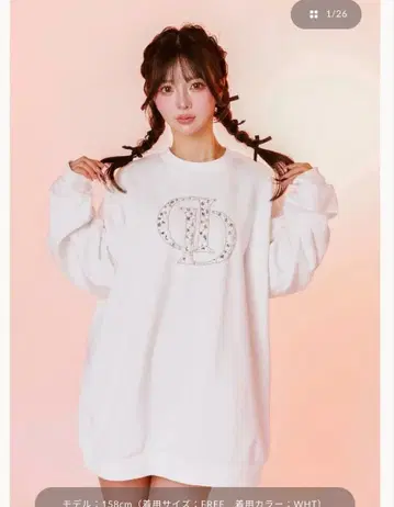 다리치 darich DD 비쥬 풀오버