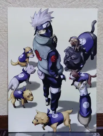 NARUTO 엽서 [ 하타케 카카시 ]